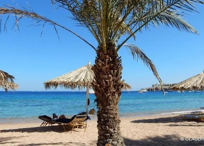 Jaz Dream Vacation Club Time Share - Reservation Only On Saturdays - Min 7 Days Otel